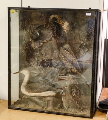 Lot 1207 - Taxidermy: A Diorama of Various Seabirds,...