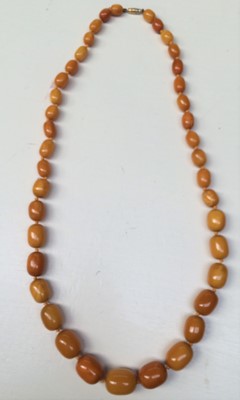 Lot 143 - An amber graduated bead necklace, length 81cm