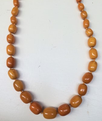 Lot 143 - An amber graduated bead necklace, length 81cm