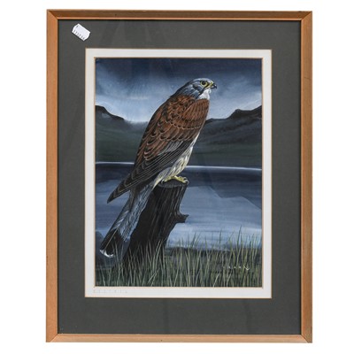 Lot 1048 - John Crank (1922-2008) Kestrel Signed, gouache,...