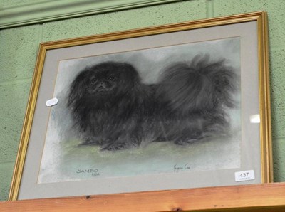 Lot 437 - Marjorie Cox, Portrait of a Pekinese 'Sambo";, signed, inscribed and dated 1992, pastel