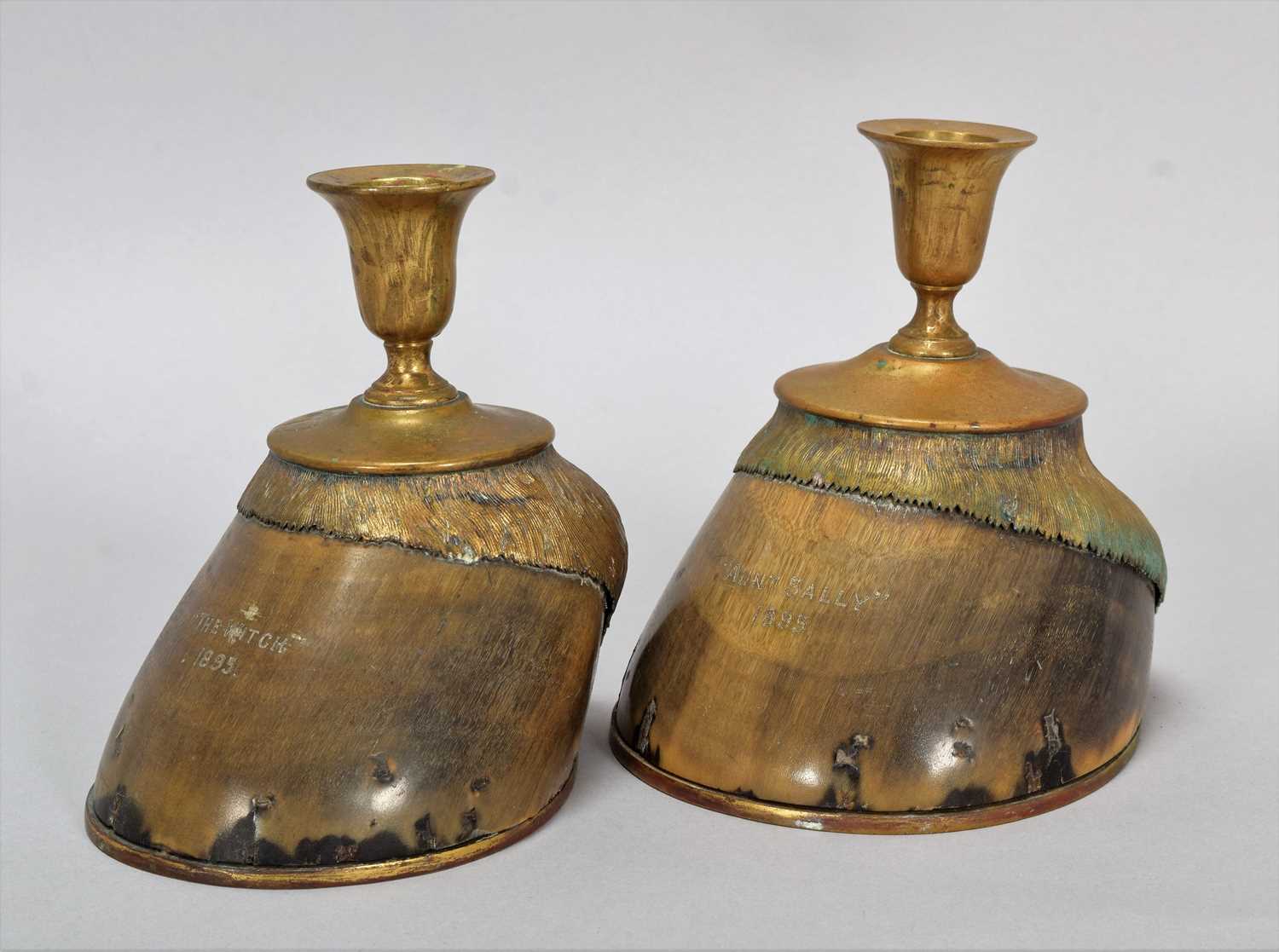 Lot 192 - Natural History: A Matched Pair of Brass...