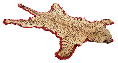 Lot 147 - Taxidermy: Indian Leopard Skin Rug (Panthera...