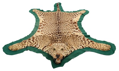 Lot 302 - Taxidermy: A Jaguar Skin Rug (Panthera onca),...