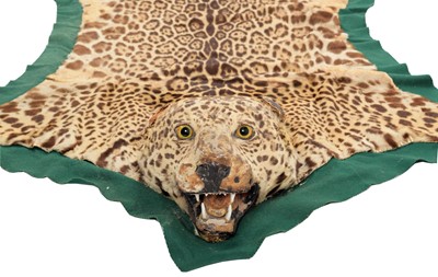 Lot 302 - Taxidermy: A Jaguar Skin Rug (Panthera onca),...