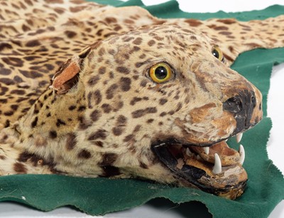 Lot 302 - Taxidermy: A Jaguar Skin Rug (Panthera onca),...