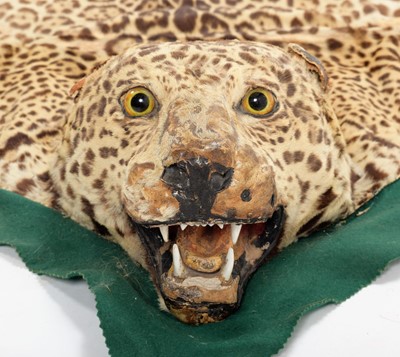 Lot 302 - Taxidermy: A Jaguar Skin Rug (Panthera onca),...