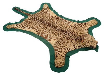 Lot 302 - Taxidermy: A Jaguar Skin Rug (Panthera onca),...