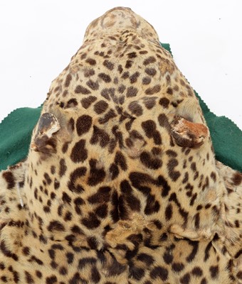 Lot 302 - Taxidermy: A Jaguar Skin Rug (Panthera onca),...