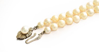 Lot 262 - A single row cultured pearl necklace, knotted...
