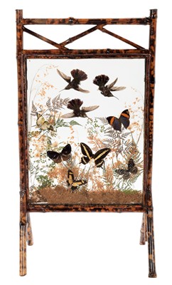 Lot 266 - Natural History: A Late Victorian Tropical...
