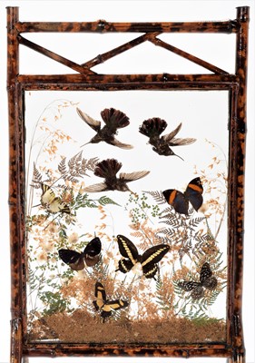 Lot 266 - Natural History: A Late Victorian Tropical...