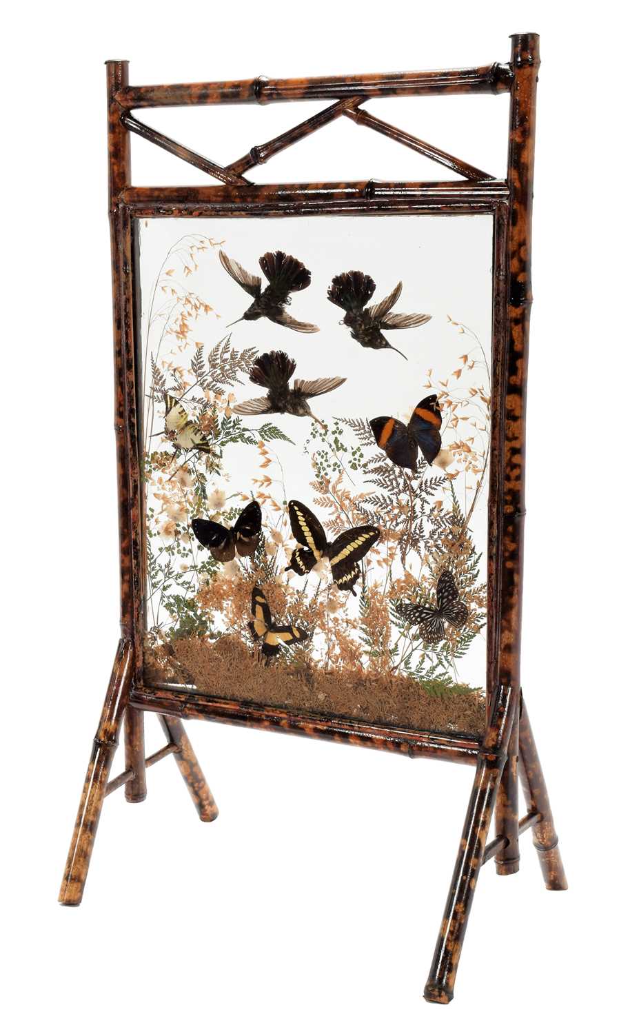 Lot 266 - Natural History: A Late Victorian Tropical...