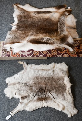 Lot 1301 - Two Reindeer hide rugs