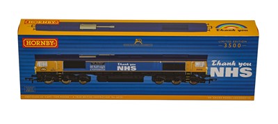 Lot 149 - Hornby (China) OO Gauge R30069 Class 66 Capt Tom Moore