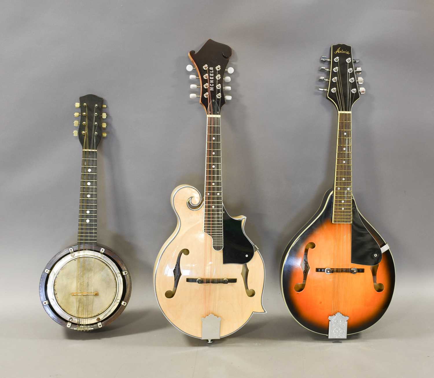 Lot 146 - Mandolin By McNeela