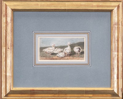 Lot 1010 - William Andrews Nesfield (1793-1881) A gaggle...