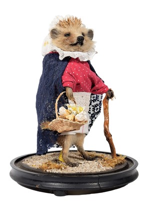 Lot 231 - Taxidermy: Anthropomorphic Hedgehog Mrs...