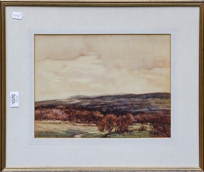 Lot 1070 - Fred Lawson (1888-1968) Study of trees Signed,...