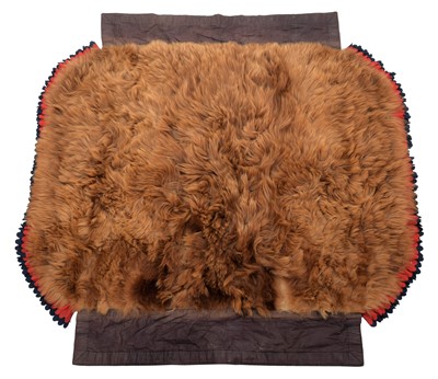 Lot 115 - Skins/Hides: A North American Brown Bear Skin...