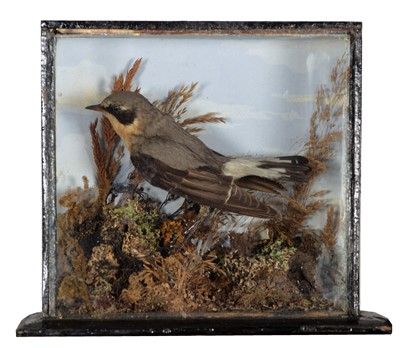 Lot 161 - Taxidermy: A Late Victorian Cased Diorama of...
