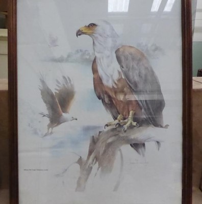 Lot 1112 - A set of six oak framed prints depicting birds...