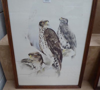 Lot 1112 - A set of six oak framed prints depicting birds...