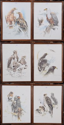 Lot 1112A - A set of six oak framed prints depicting birds...