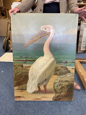 Lot 1052 - Henry Stacy Marks RA (1829-1898) "Pelican"...