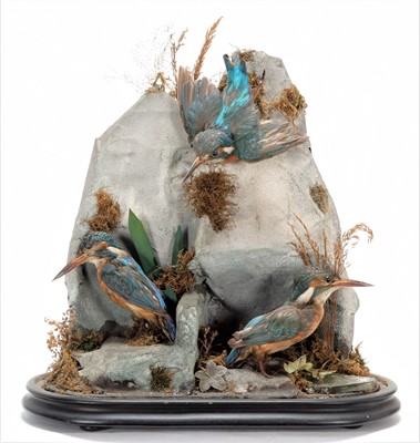 Lot 239 - Taxidermy: A Late Victorian Diorama of...