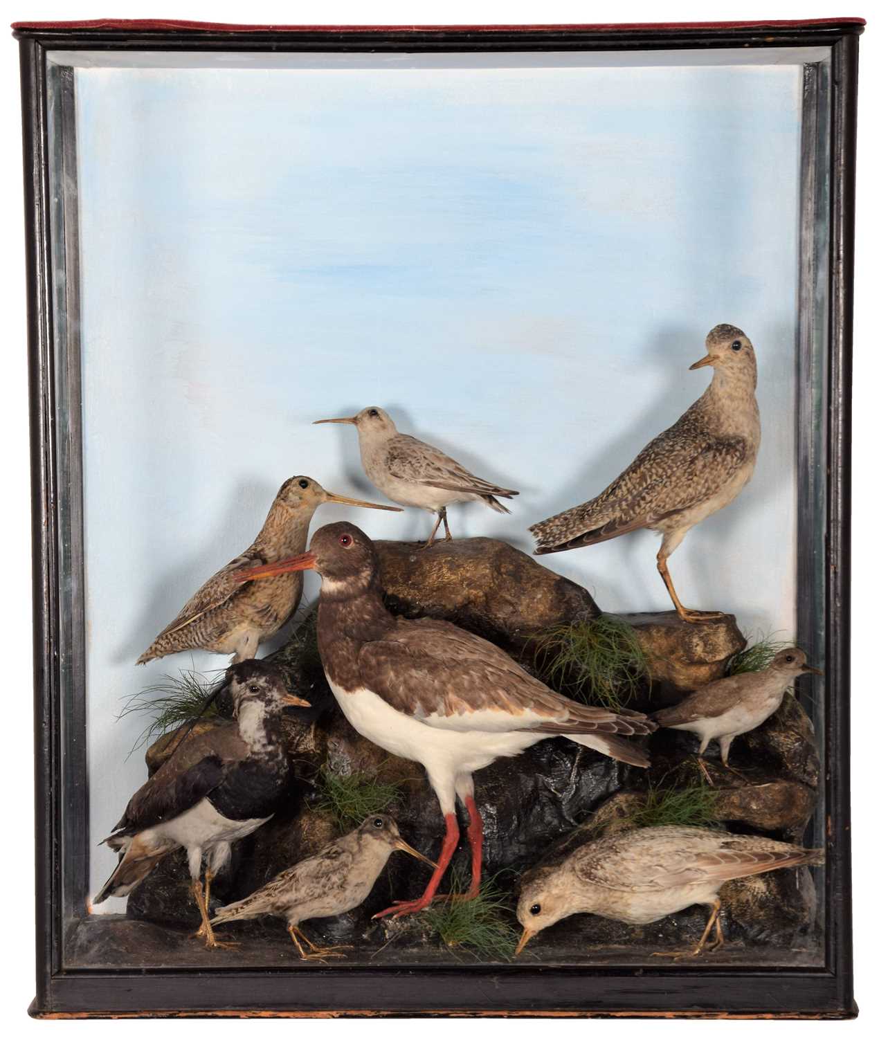 Lot 200 - Taxidermy: A Late Victorian Cased Diorama of...