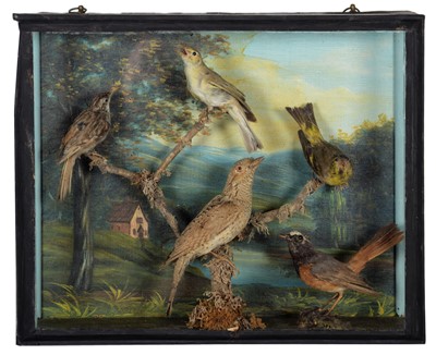 Lot 20 - Taxidermy: A Late Victorian Cased Diorama of...