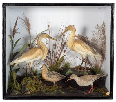 Lot 247 - Taxidermy: A Cased Diorama of European Wading...