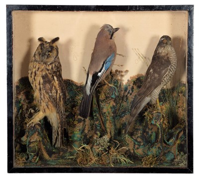 Lot 118 - Taxidermy: A Late Victorian Cased Long-eared...