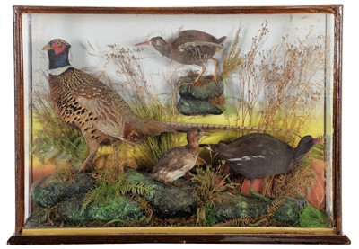 Lot 116 - Taxidermy: A Late Victorian Cased Diorama of...