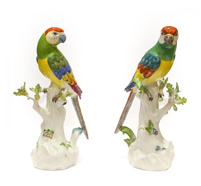 Lot 147 - A Pair of Meissen Porcelain Parrots, 20th...