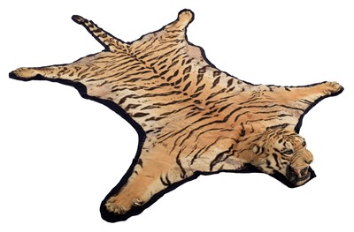 Lot 310 - Taxidermy: A Large Bengal Tiger Skin Rug...