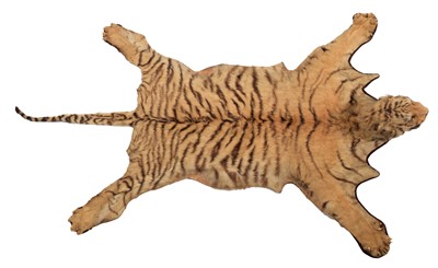 Lot 271 - Taxidermy: Bengal Tiger Skin Rug (Panthera...