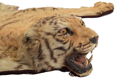 Lot 271 - Taxidermy: Bengal Tiger Skin Rug (Panthera...