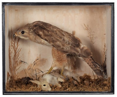 Lot 39 - Taxidermy: A Late Victorian Cased Common...