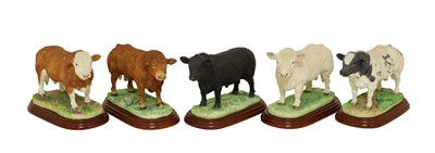 Lot 1112 - Border Fine Arts Studio Cattle Models