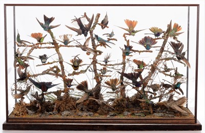 Lot 365 - Taxidermy: A Late Victorian Hummingbird...