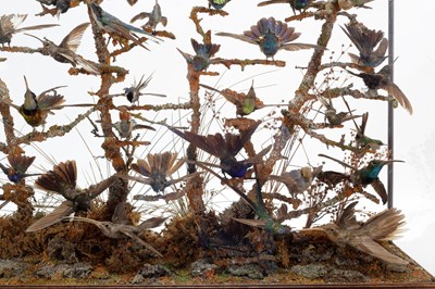 Lot 365 - Taxidermy: A Late Victorian Hummingbird...