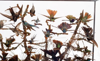 Lot 365 - Taxidermy: A Late Victorian Hummingbird...