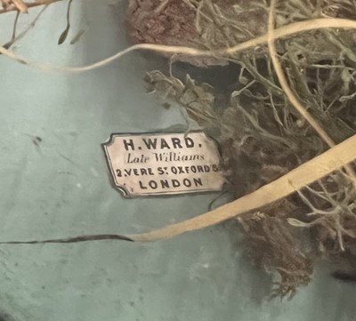 Lot 335 - Taxidermy: A Victorian Octagonal Cased Diorama...