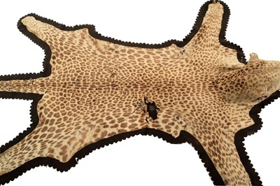 Lot 227 - Taxidermy: A Large African Leopard Skin Rug...