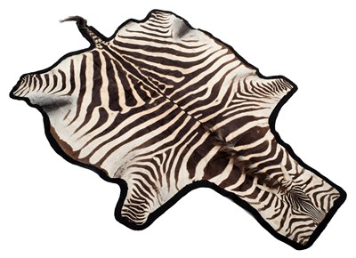 Lot 320 - Hides/Skins: A Burchell's Zebra Hide Rug...
