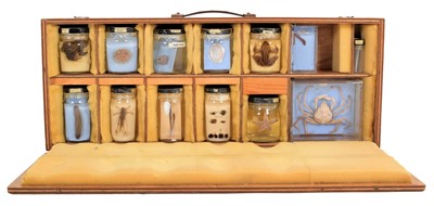 Lot 207 - Natural History: A Cased Collection of...