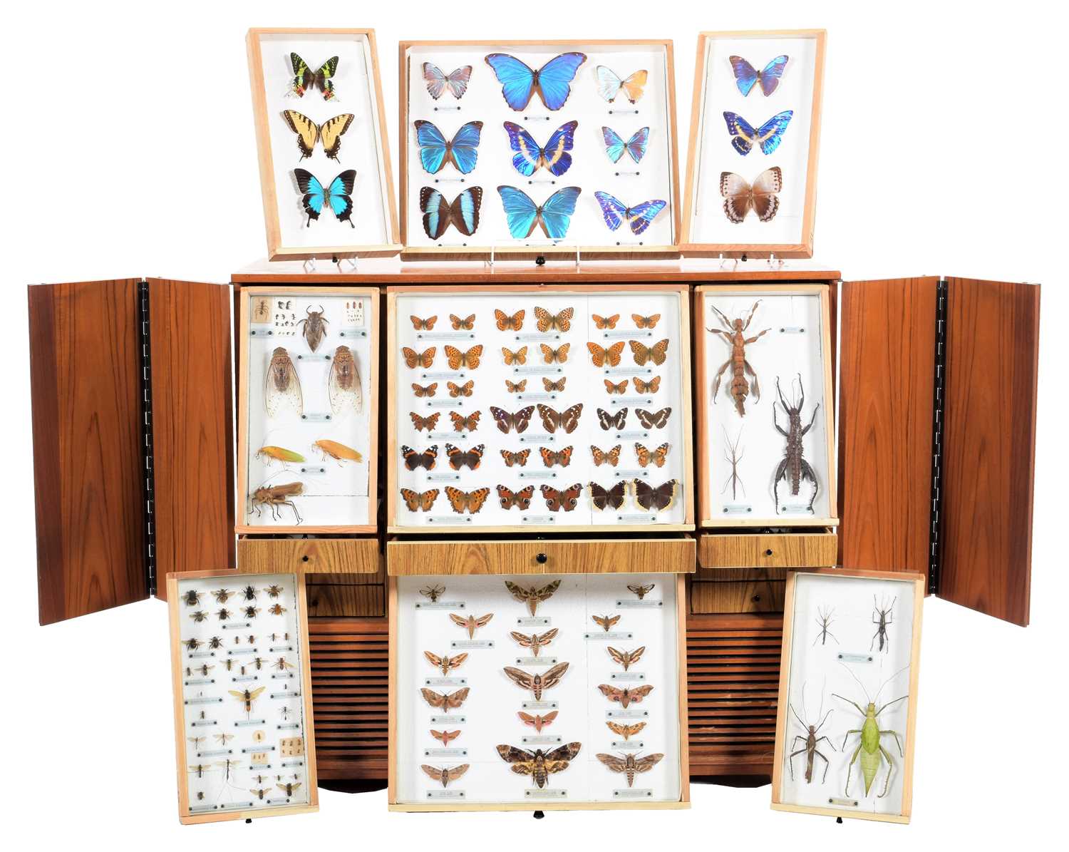 Lot 103 - Entomology/Coleoptera: A Large Collection of...