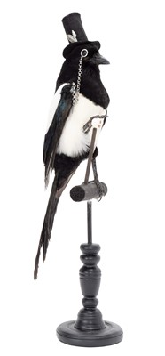 Lot 88 - Taxidermy: The Anthropomorphic Distinguished...